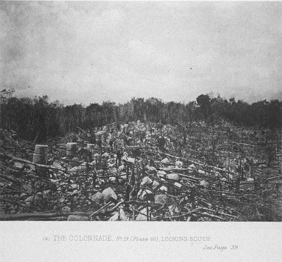 Maudslay's 1889 photo of the fallen pillars of the Colonnade looking south'