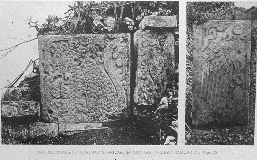 Maudslay's 1889 photo of jaguar and eagle panel details from the Platform of Eagles and Jaguars at Chichén Itzá