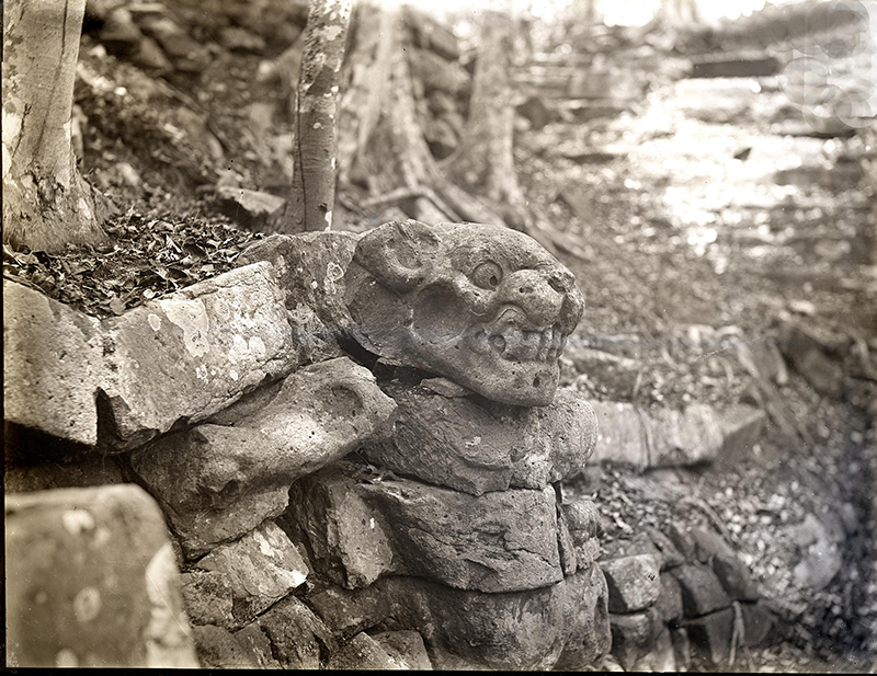 Maudslay photo of Jaguar head