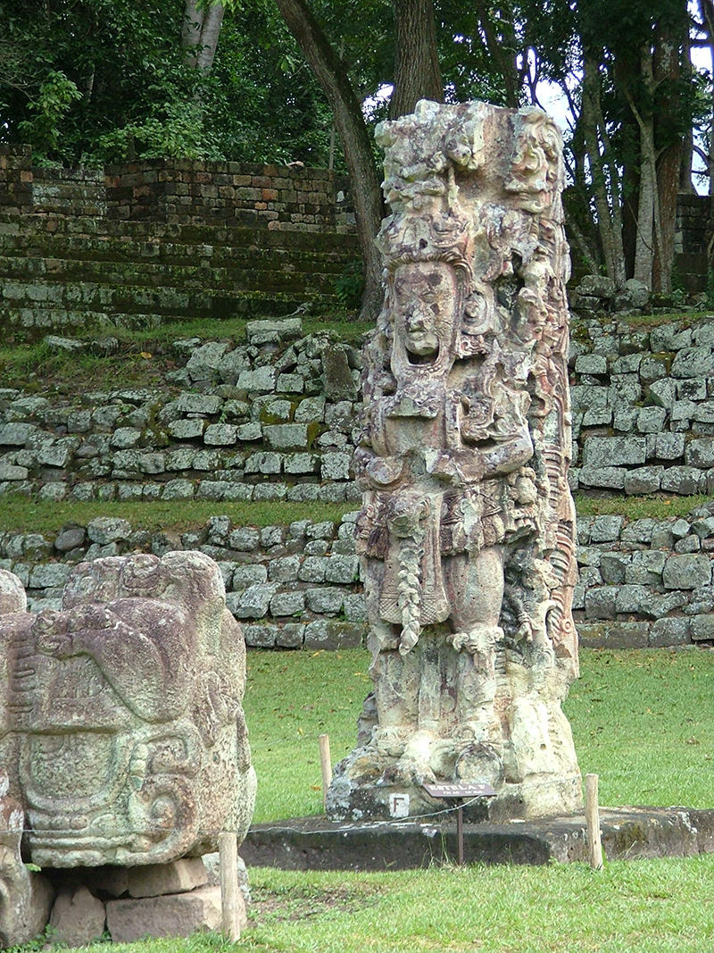 Stela F