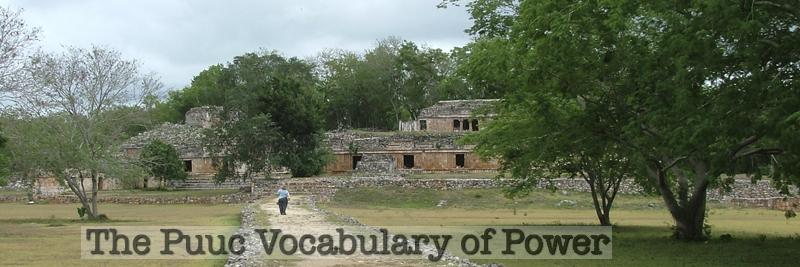 Header banner for The Puuc Network newsletter