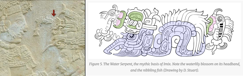 The Water Serpent, adopted from David Stuarts article Day Sign Notes: Imix