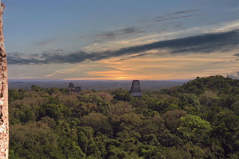 Tikal: Panarama from atop Temple IV